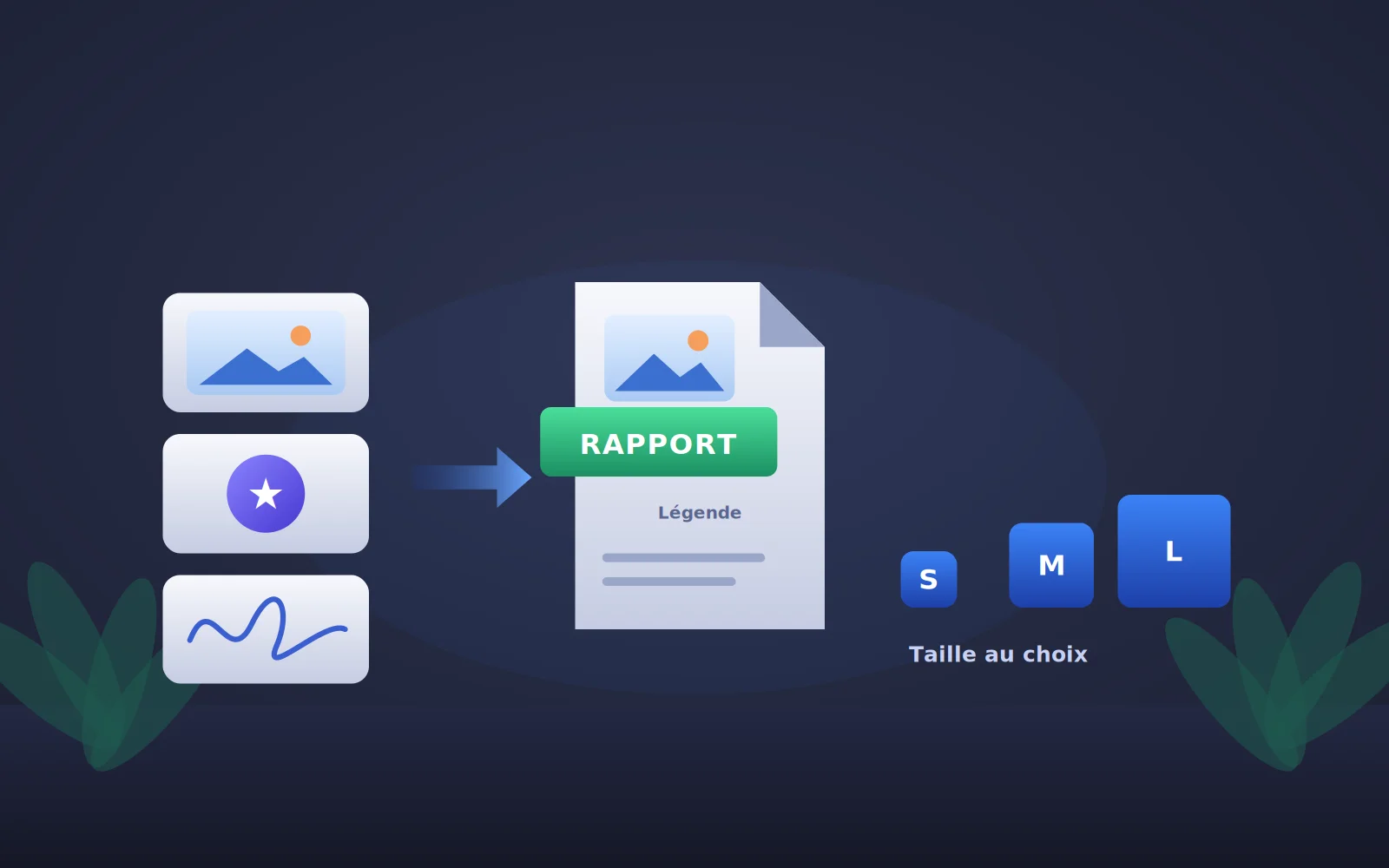 Génération d'un rapport Panopsys avec prise en charge des images